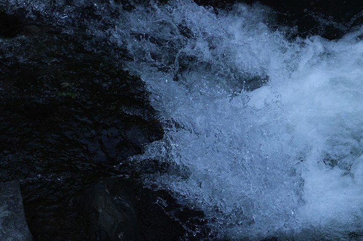 Water in Motion