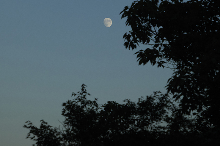 The Moon and the Night