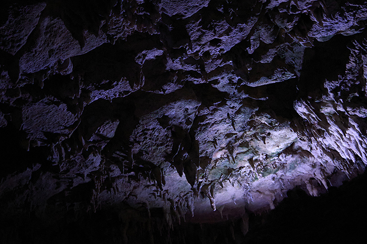 Limestone Cave