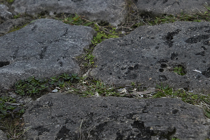Cobblestones