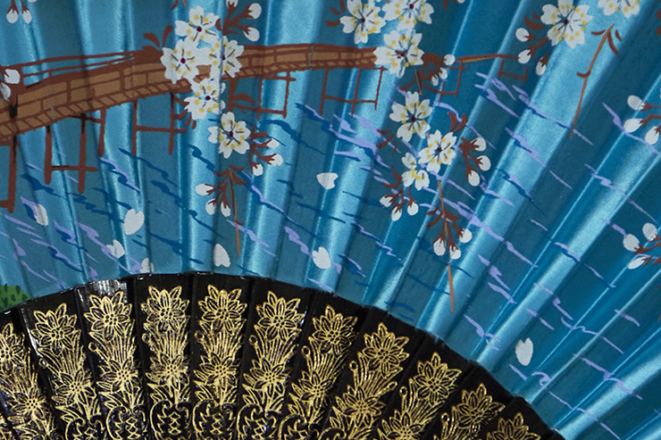 Hand Fan