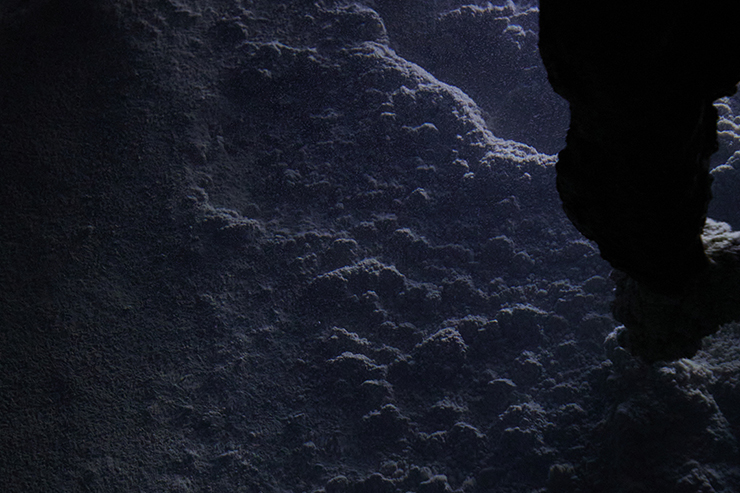 Limestone Cave