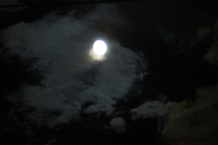 The Moon and the Night