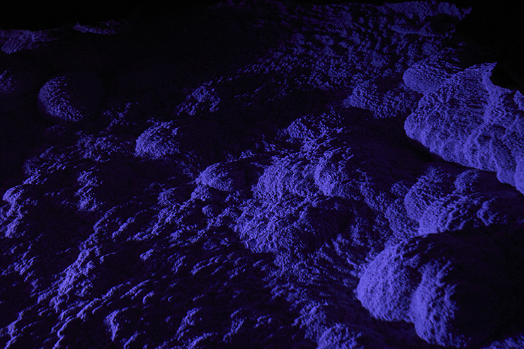 Limestone Cave