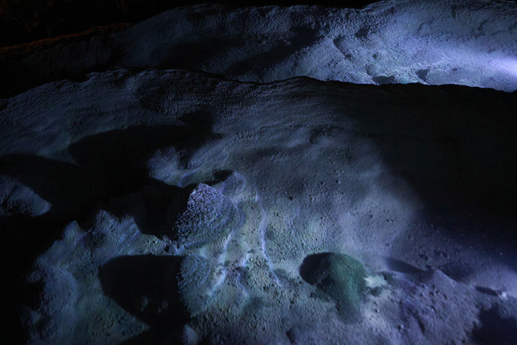 Limestone Cave