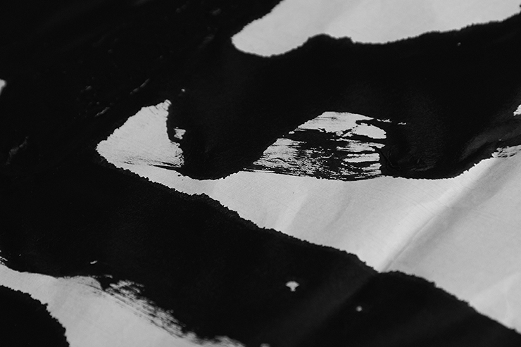 “Kokorozashi” Calligraphy Work by Taka