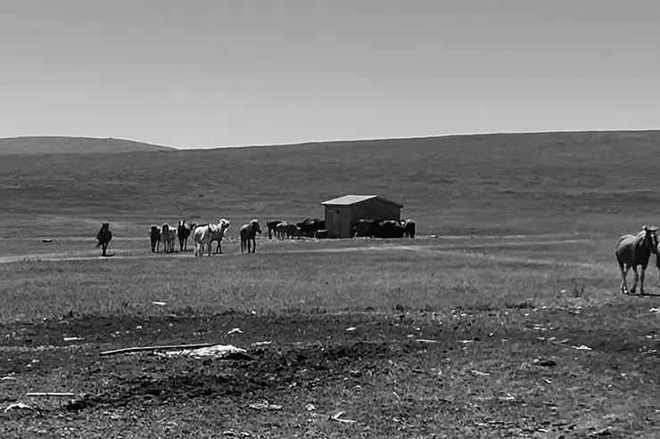Mongolia