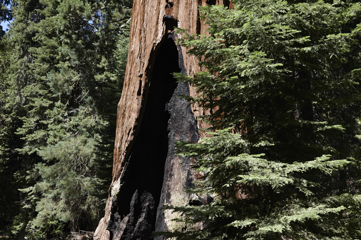 California Mountain