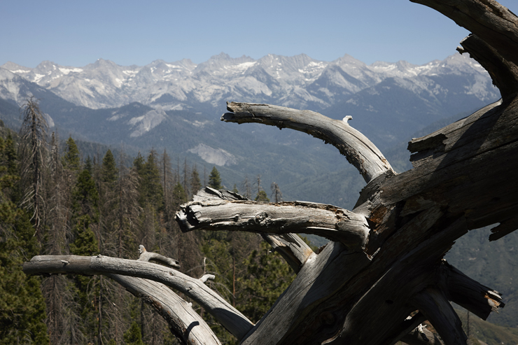 California Mountain