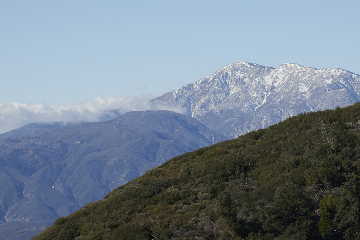 California Mountain