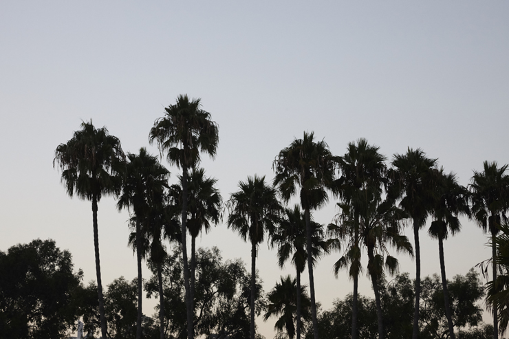 California Surf Beach