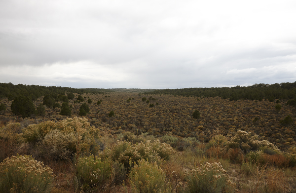 Native American’s Land