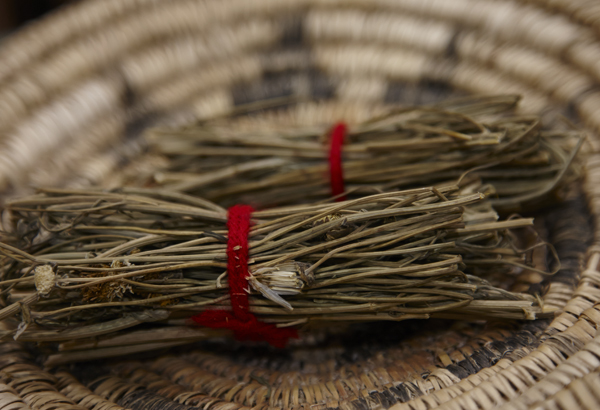 Navajo Tea.Corn