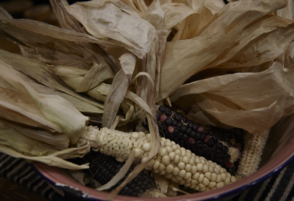 Navajo Tea.Corn