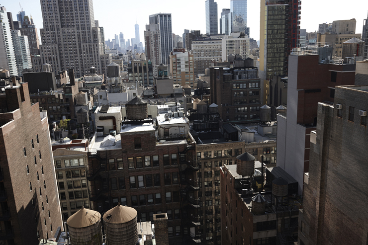 New York City / Squash Blossom