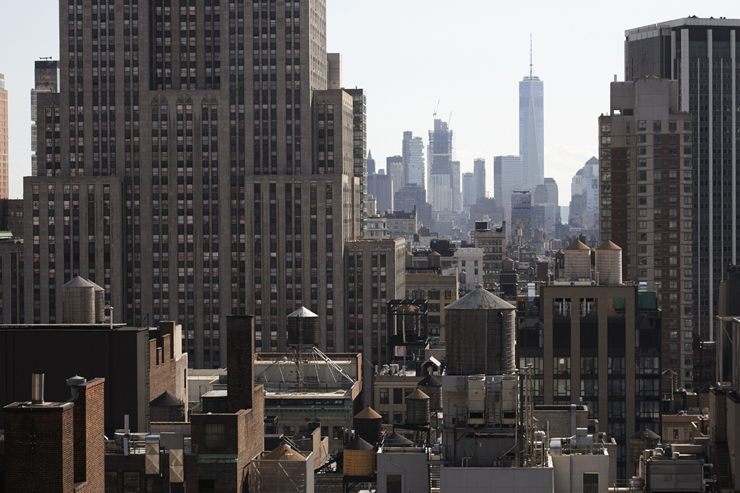 New York City / Squash Blossom