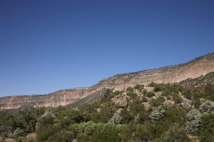 Larry Smith Snake in New Mexico / Ishi Glinsky