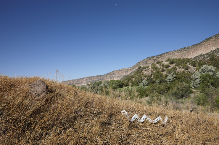 Larry Smith Snake in New Mexico / Ishi Glinsky