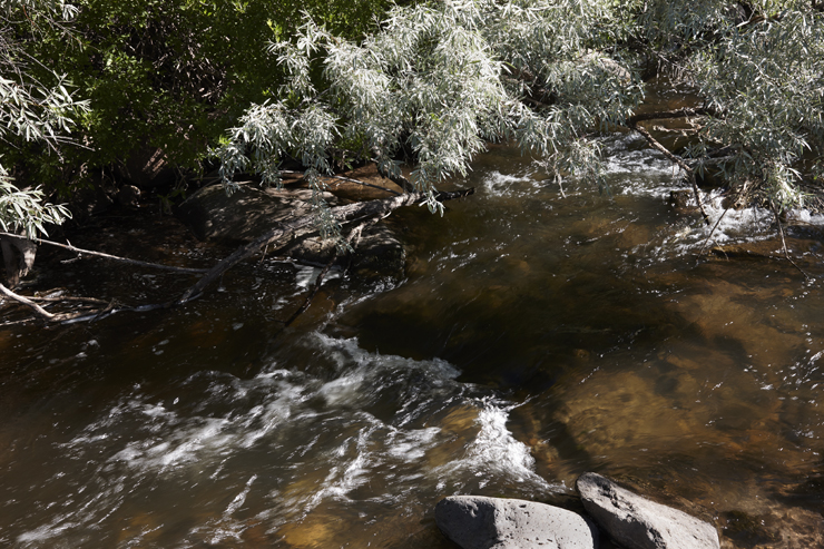 Larry Smith Snake in New Mexico / Ishi Glinsky