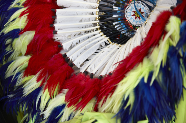 Born Free 9 / Thunderbird Feather Pattern Turquoise Pin