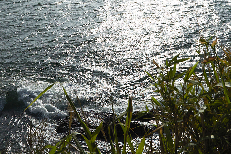 Sea