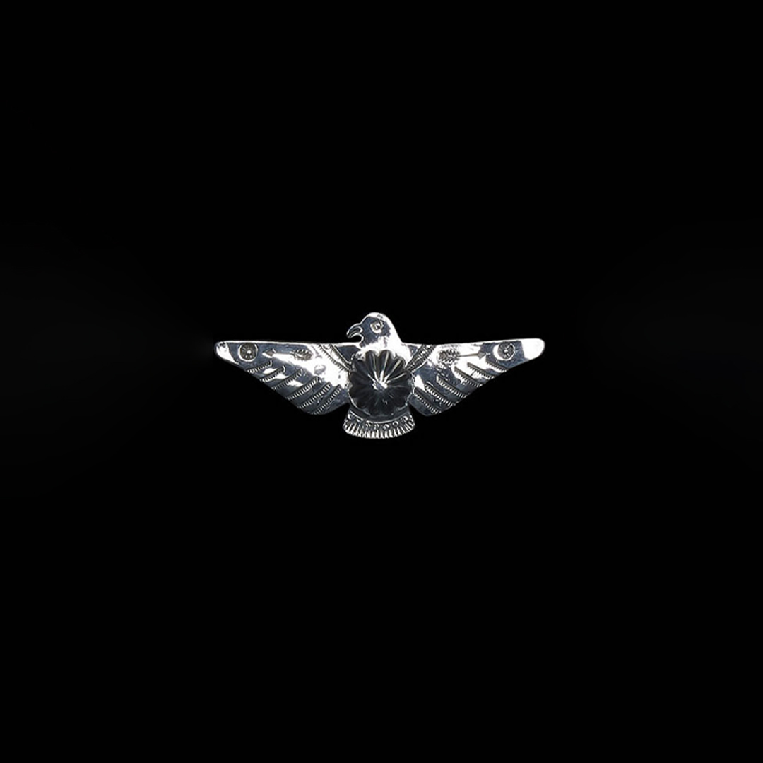 OPEN WING THUNDERIRD PIN (SHELL)